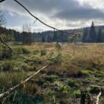 20261020_moor_ (1)